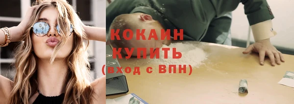 мяу мяу мука Няндома