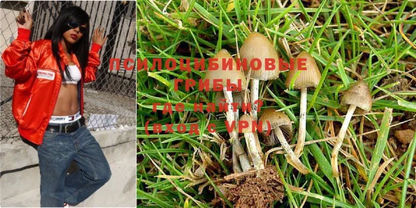 мяу мяу мука Няндома