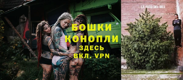 альфа пвп Нязепетровск