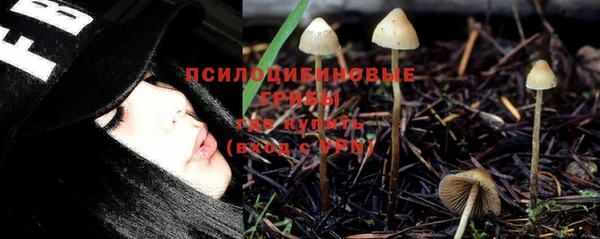 гидропоника Новозыбков