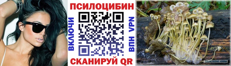 Галлюциногенные грибы мухоморы  Краснослободск 